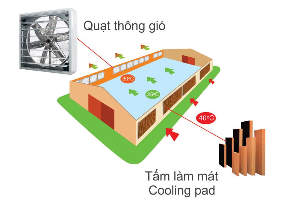 Cách tính toán thiết kế hệ thống thông gió nhà xưởng