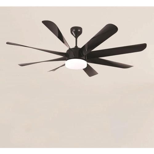 Quạt đèn trần trang trí Andora QT-066B QT-066B